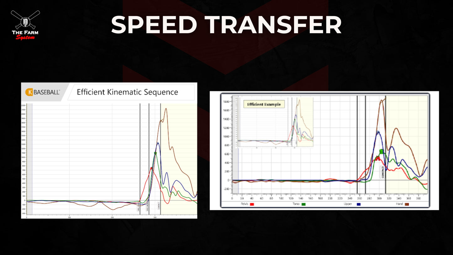 Chapter 12: Force Transmission
