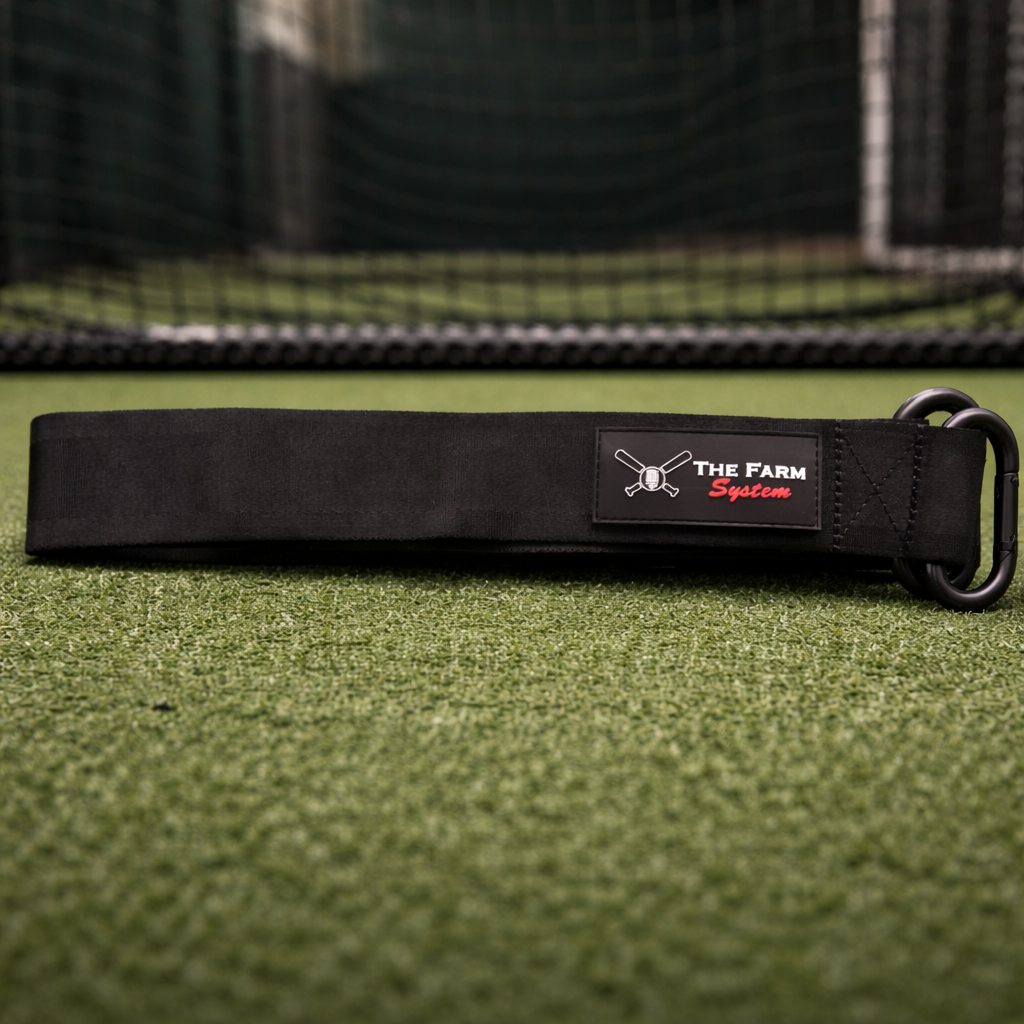 10ft Sled Strap