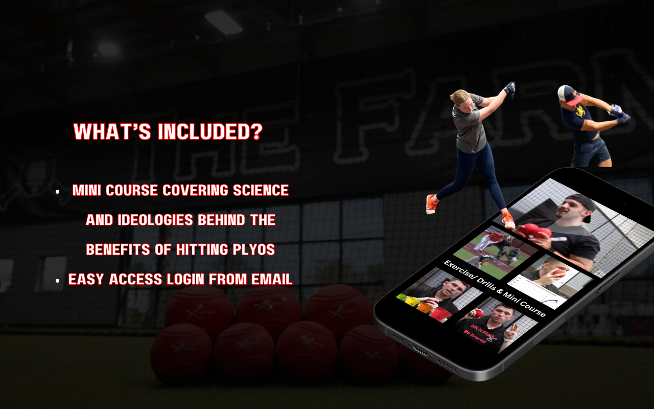 Heavy Plyo Baseballs