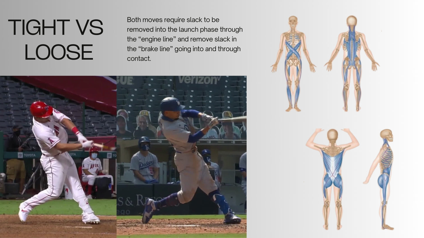 Section Three: Application