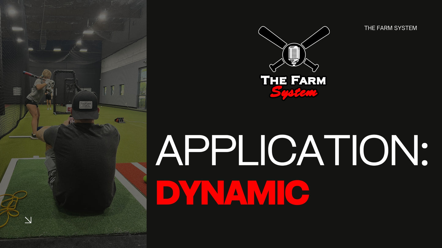 Section Three: Application