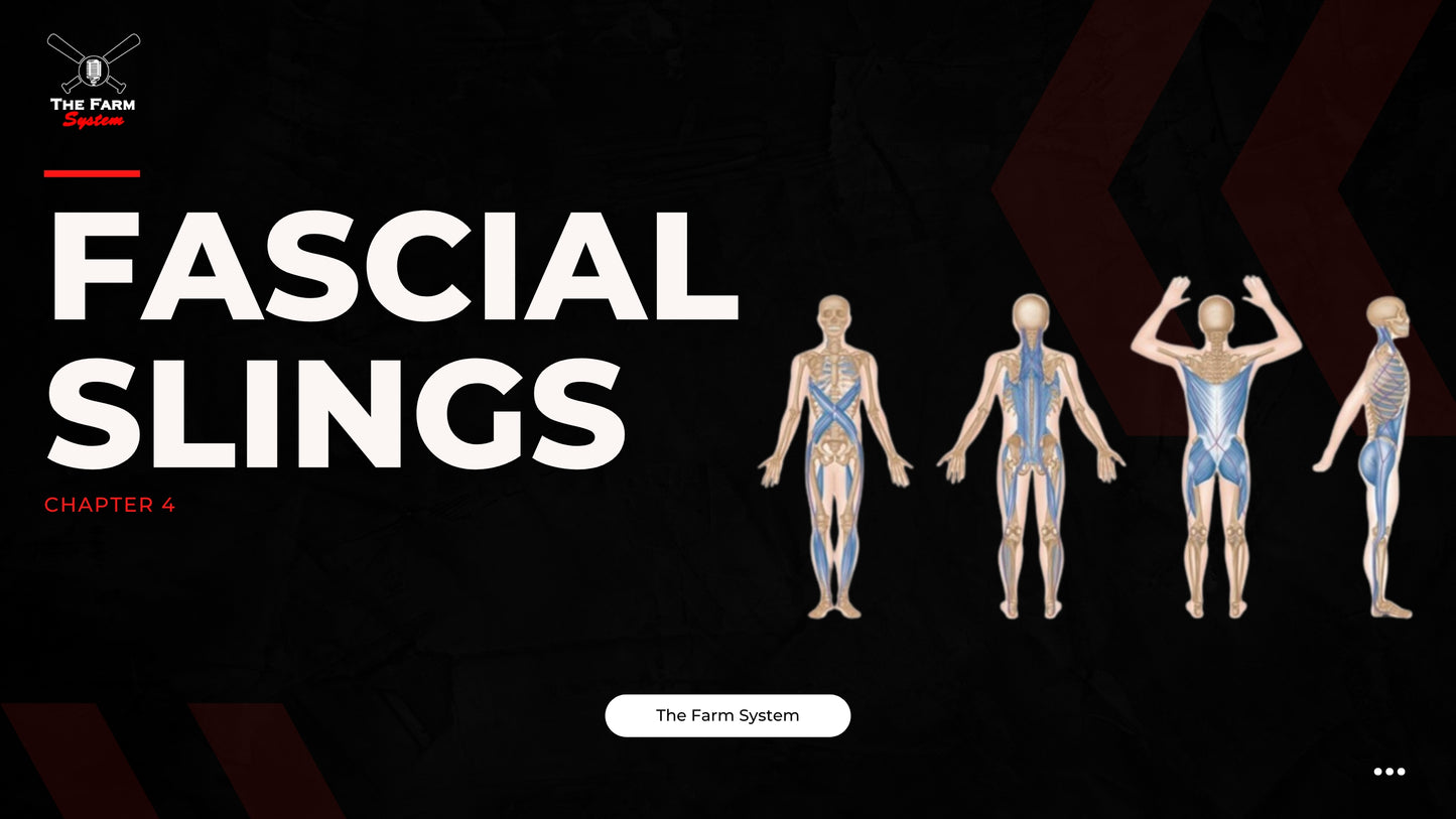 Section One: The Science of Hitting