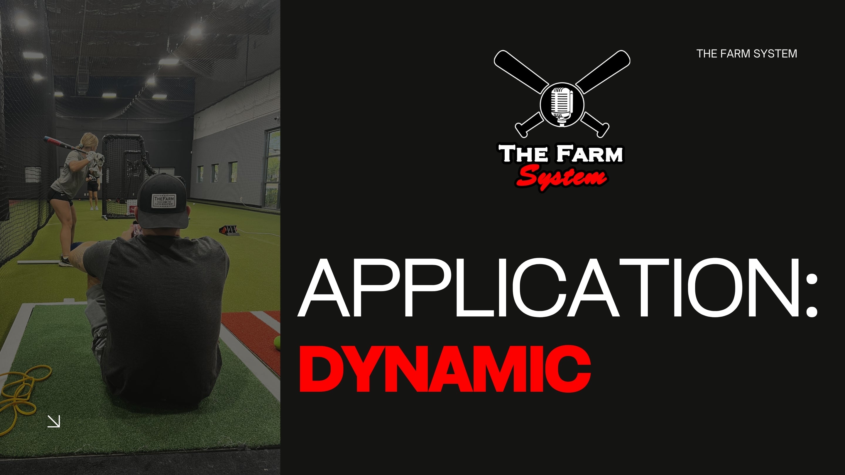 Chapter 14: Application Part 2 (Making It Dynamic)