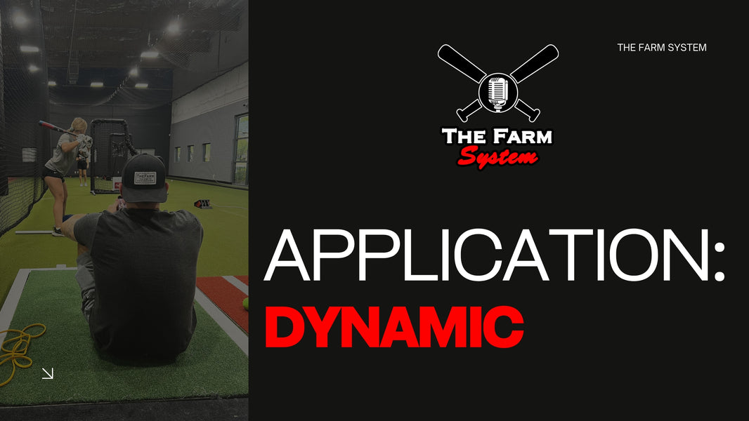 Chapter 14: Application Part 2 (Making It Dynamic)