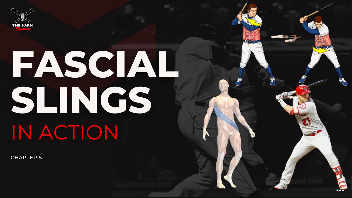 Section One: The Science of Hitting