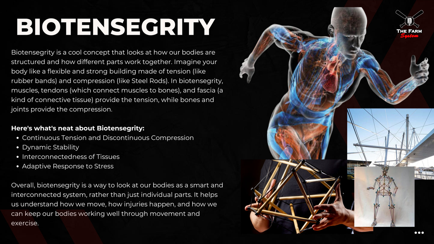 Section One: The Science of Hitting