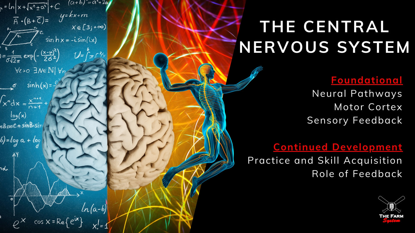 Chapter 7: Skill Acquisition
