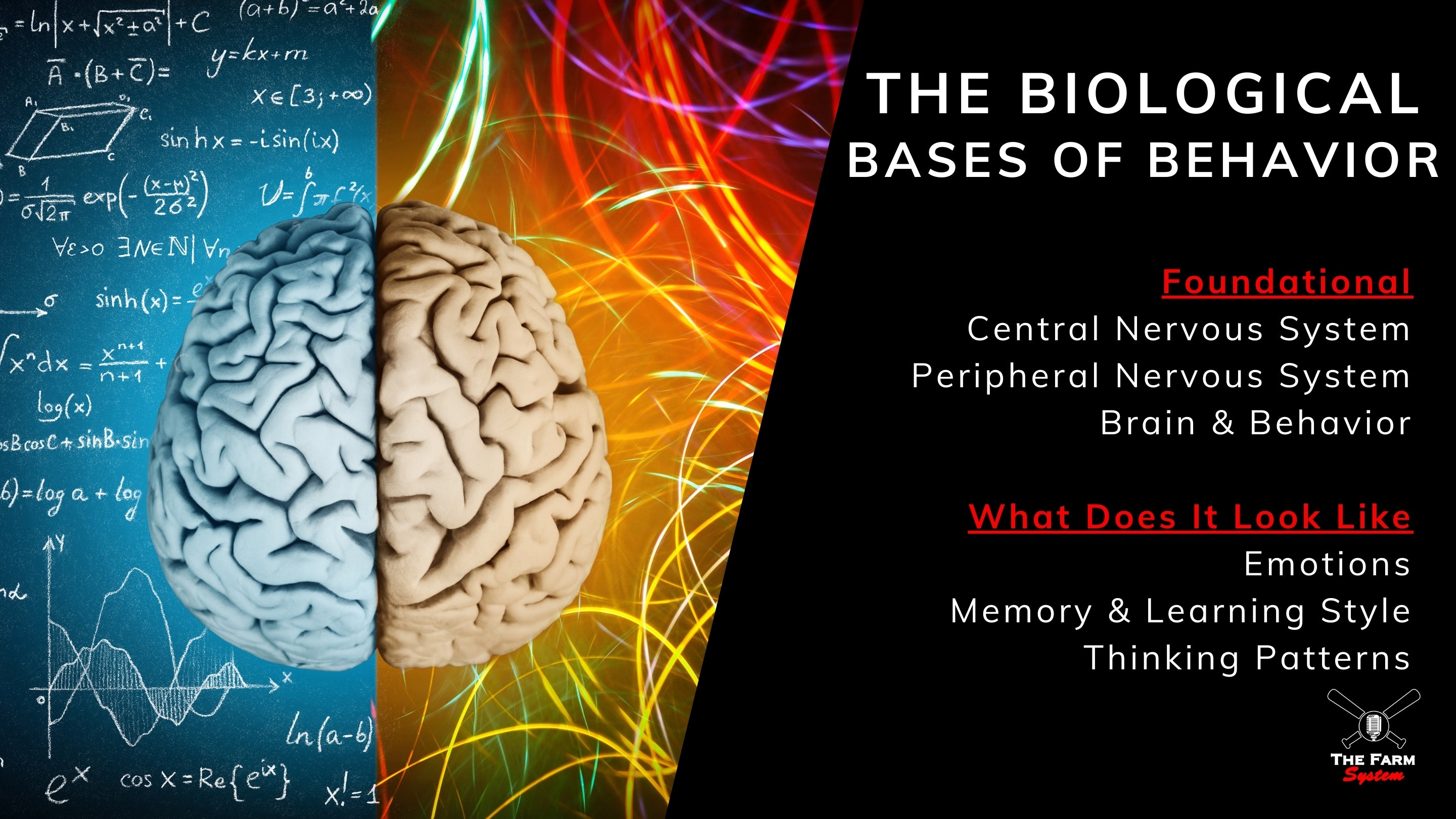 The Farm Summer Retreat (June 6th-9th)