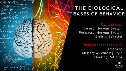 The Farm Summer Retreat (June 6th-9th)