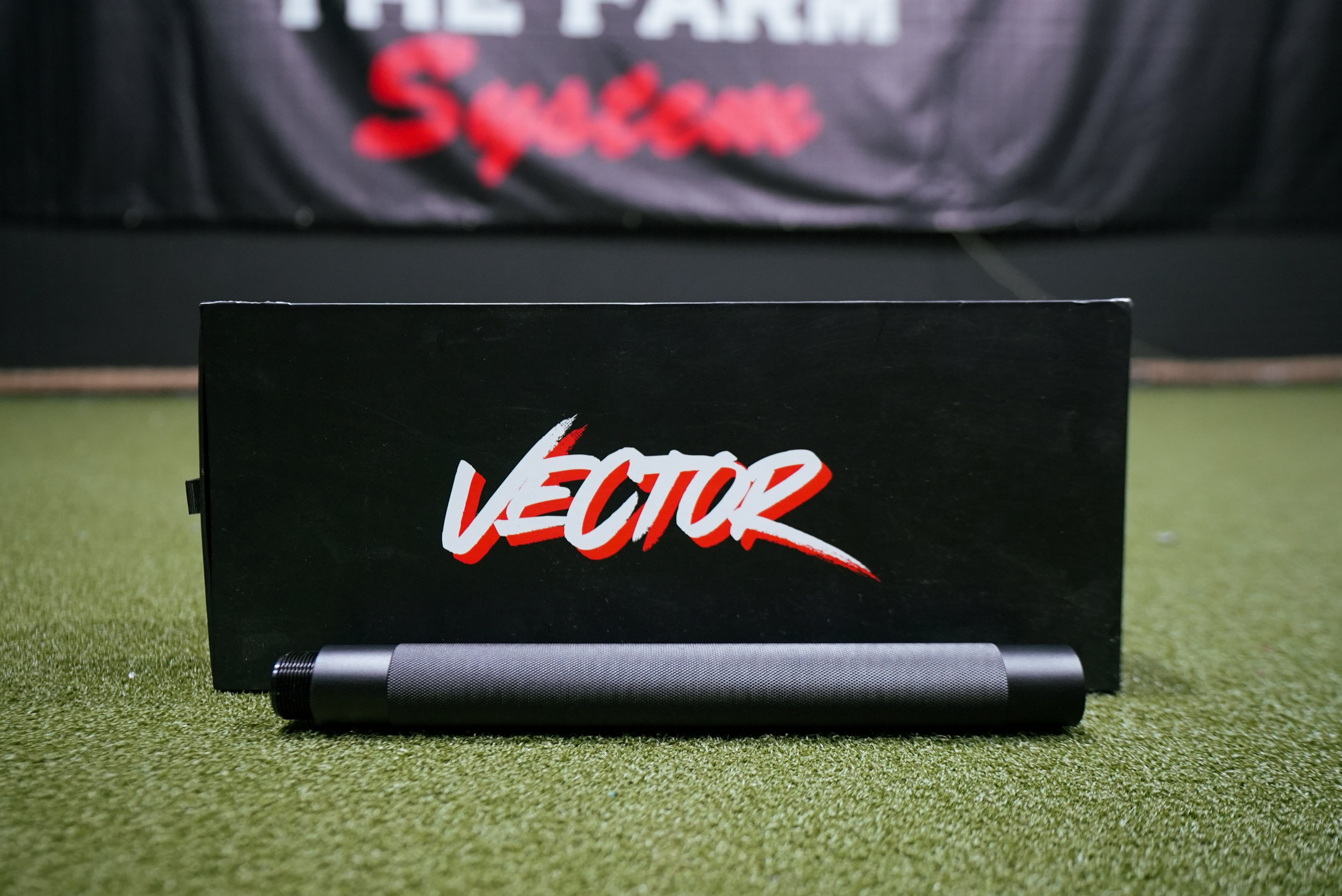 Vector Extension