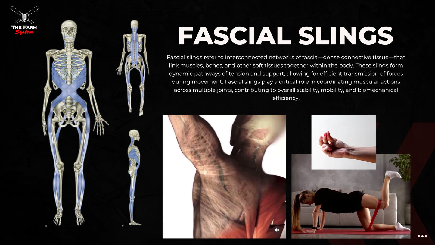 Chapter 4: Facial Slings