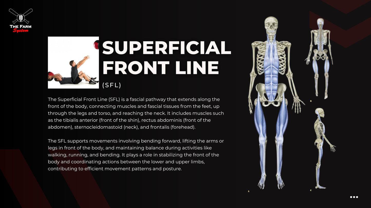 Section One: The Science of Hitting