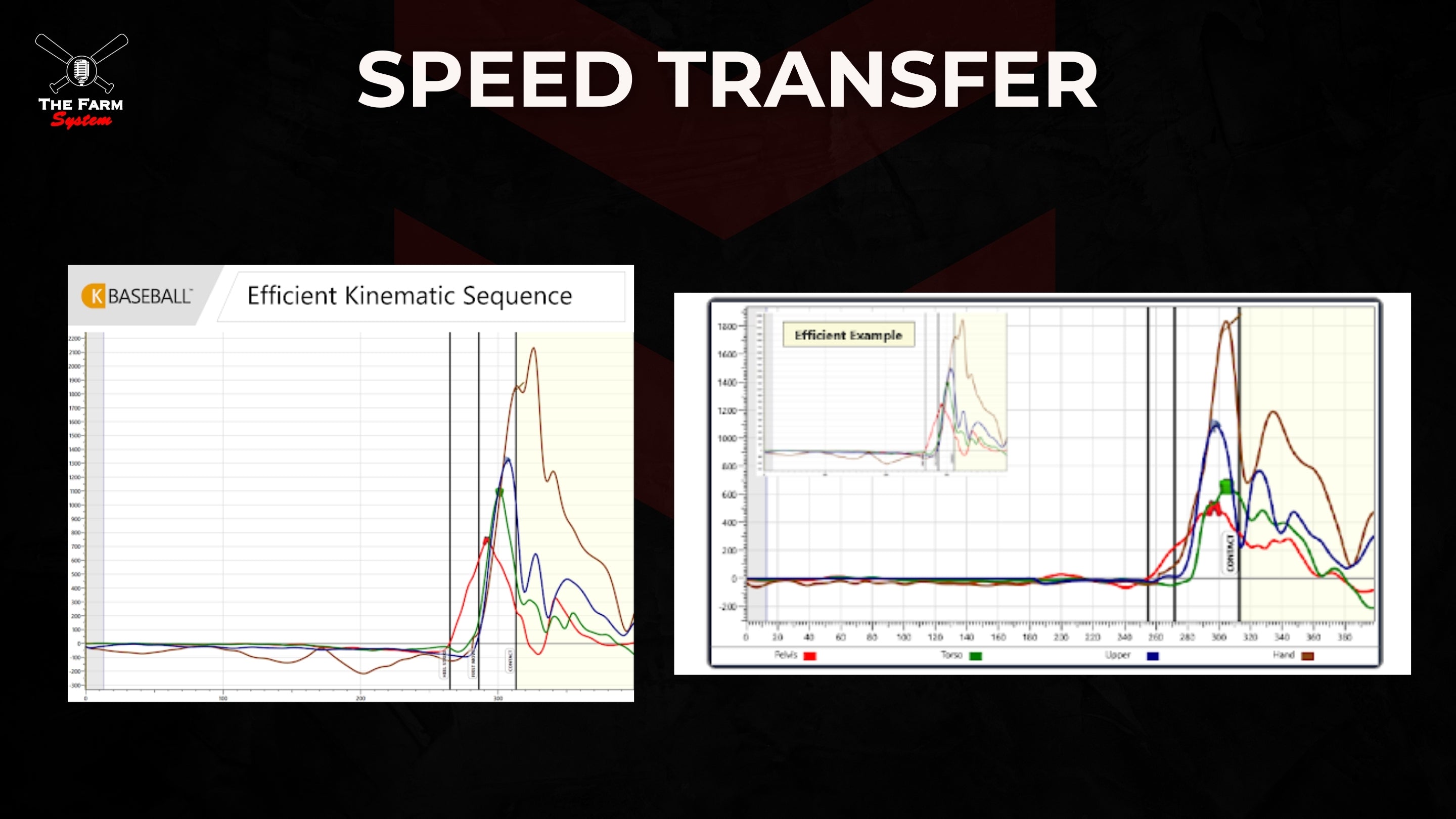 Chapter 12: Force Transmission