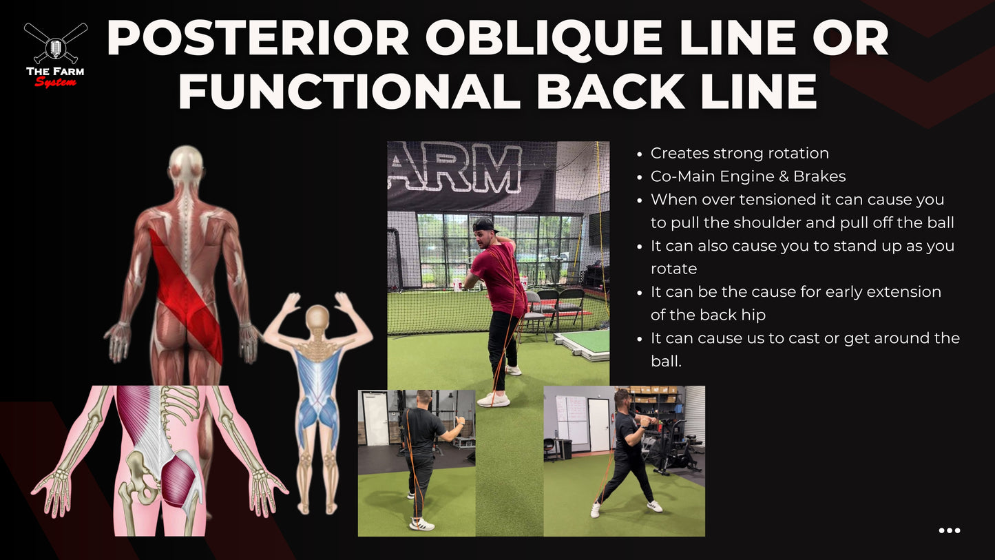Chapter 5: Fascial Lines In Action