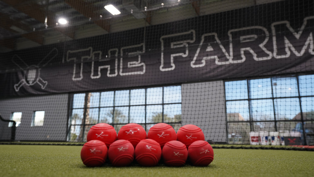 Heavy Plyo Baseballs