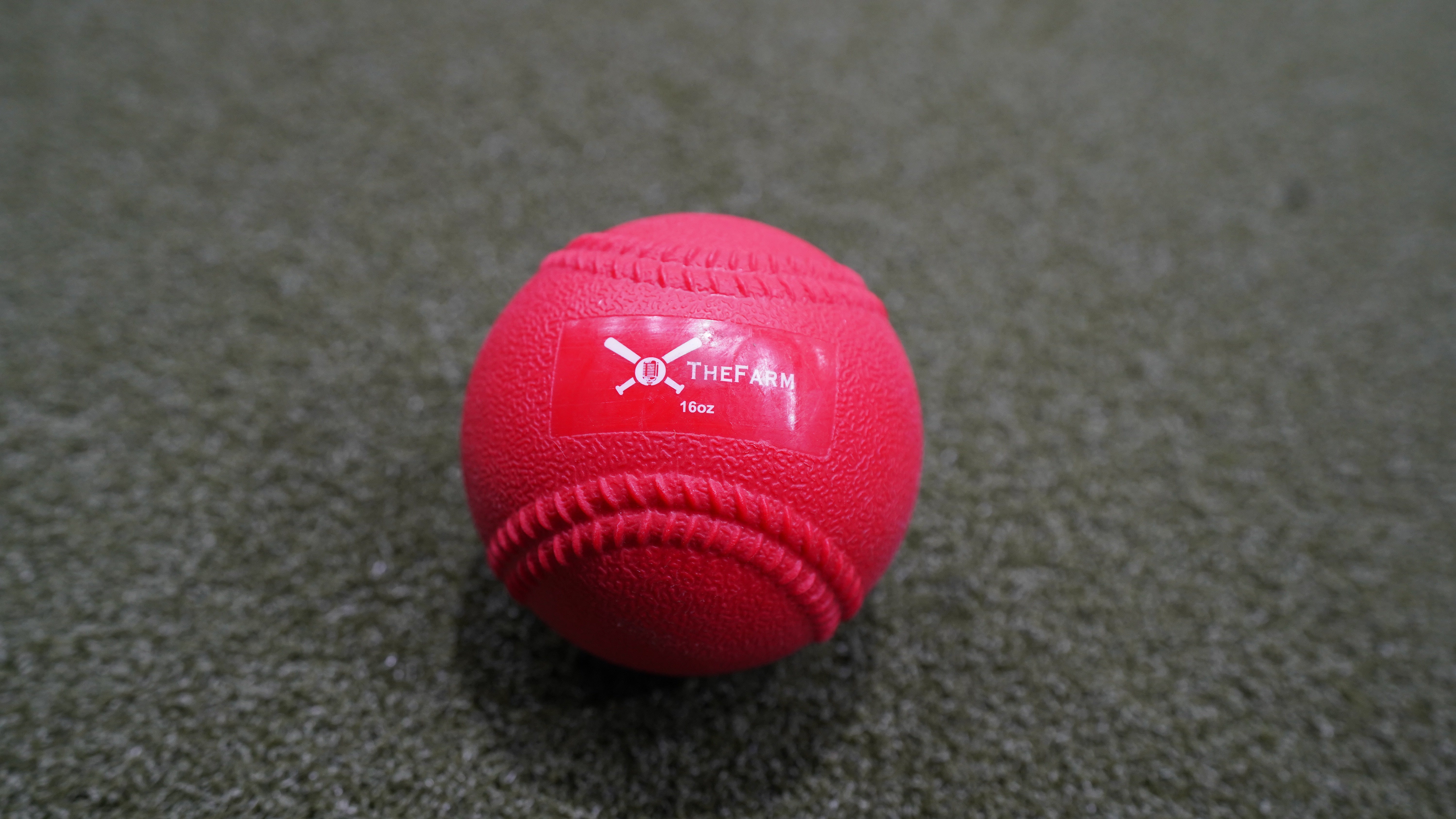 Heavy Plyo Softballs