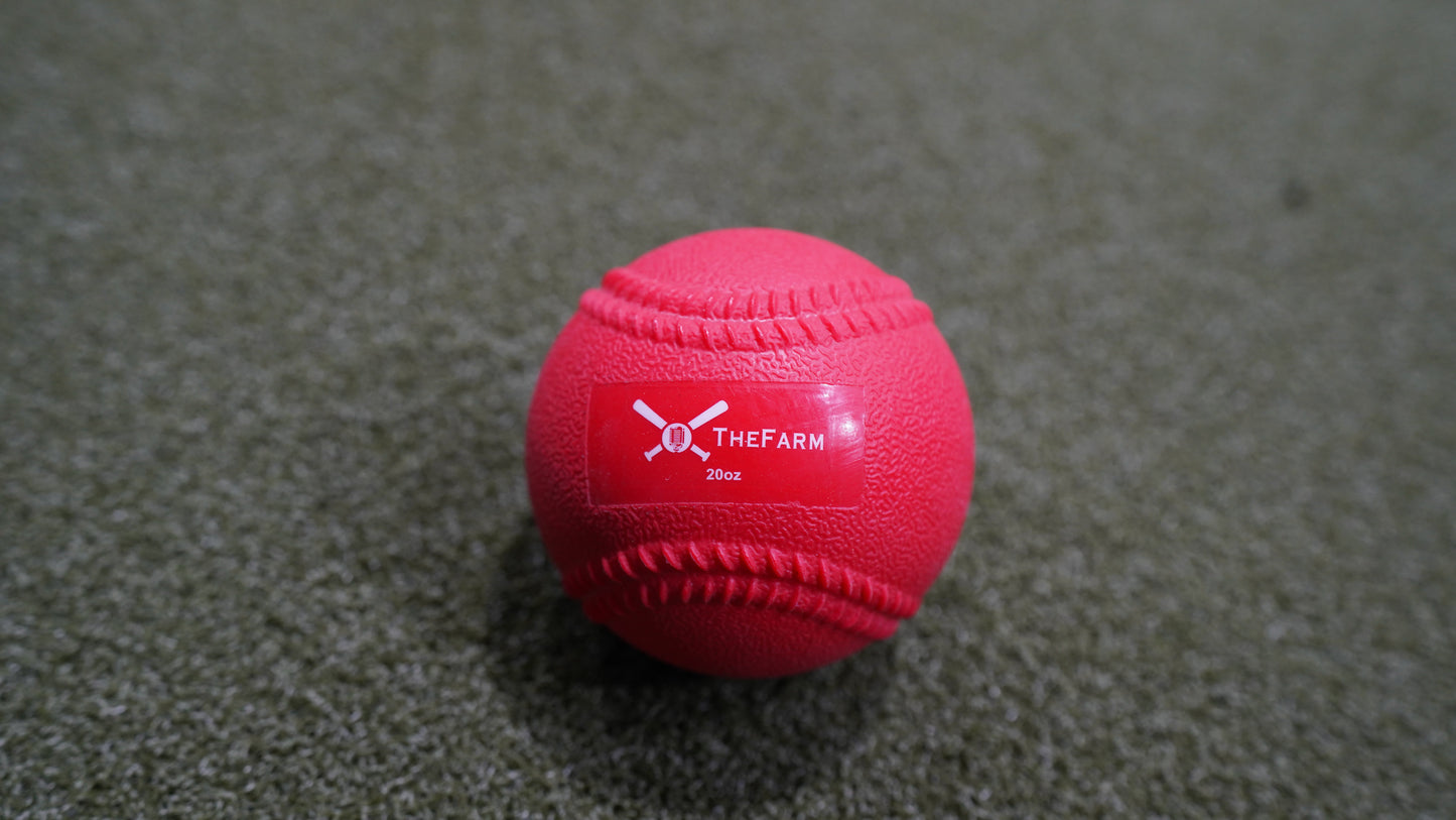 Heavy Plyo Softballs