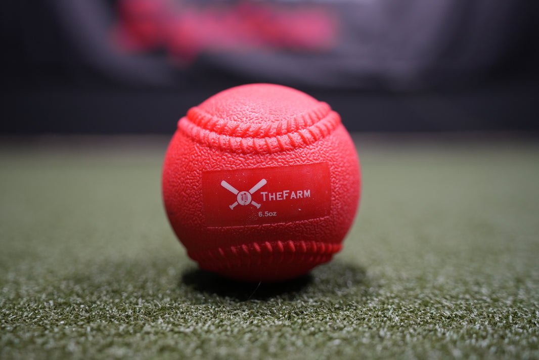 Heavy Plyo Softballs
