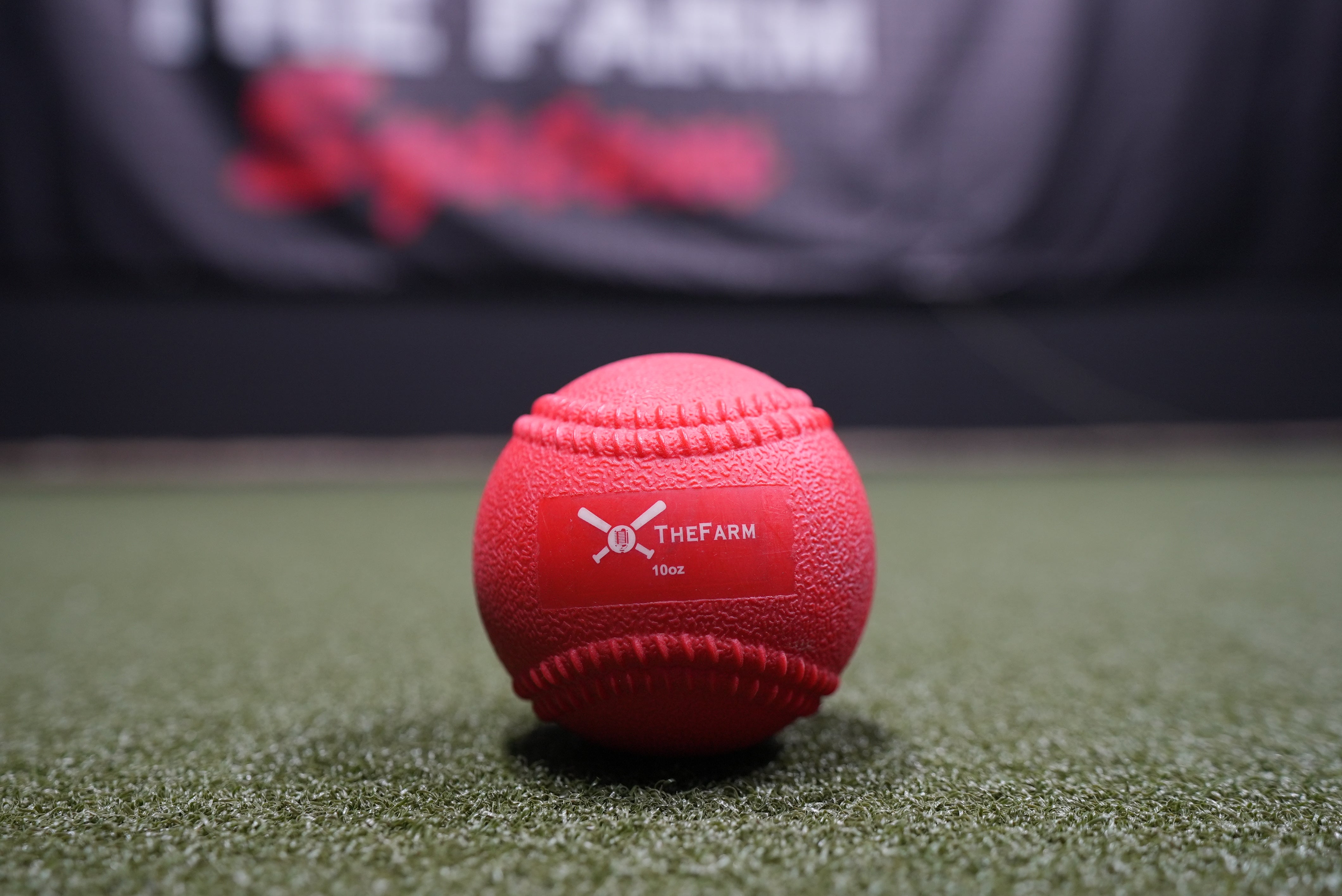 Heavy Plyo Softballs