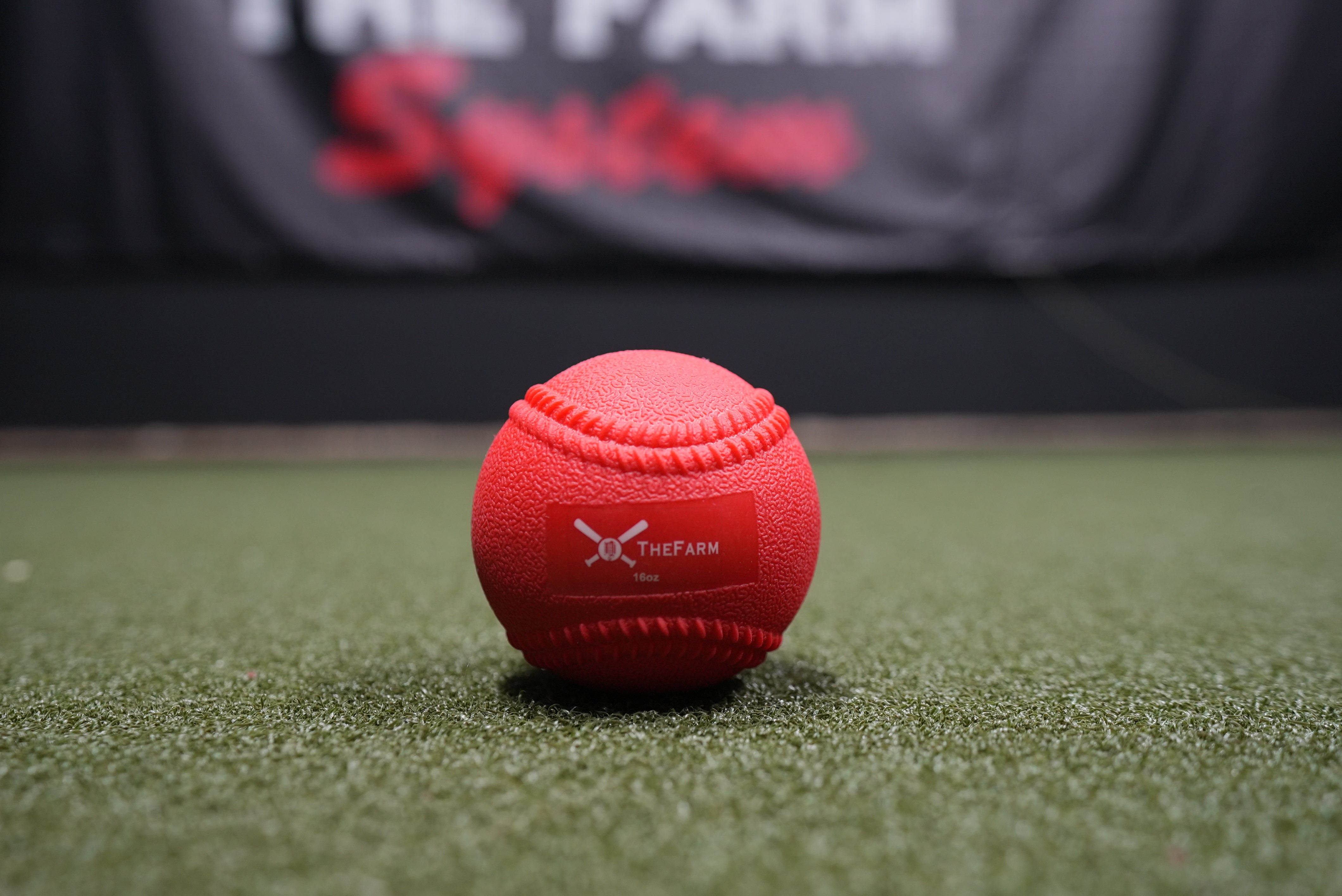 Heavy Plyo Softballs