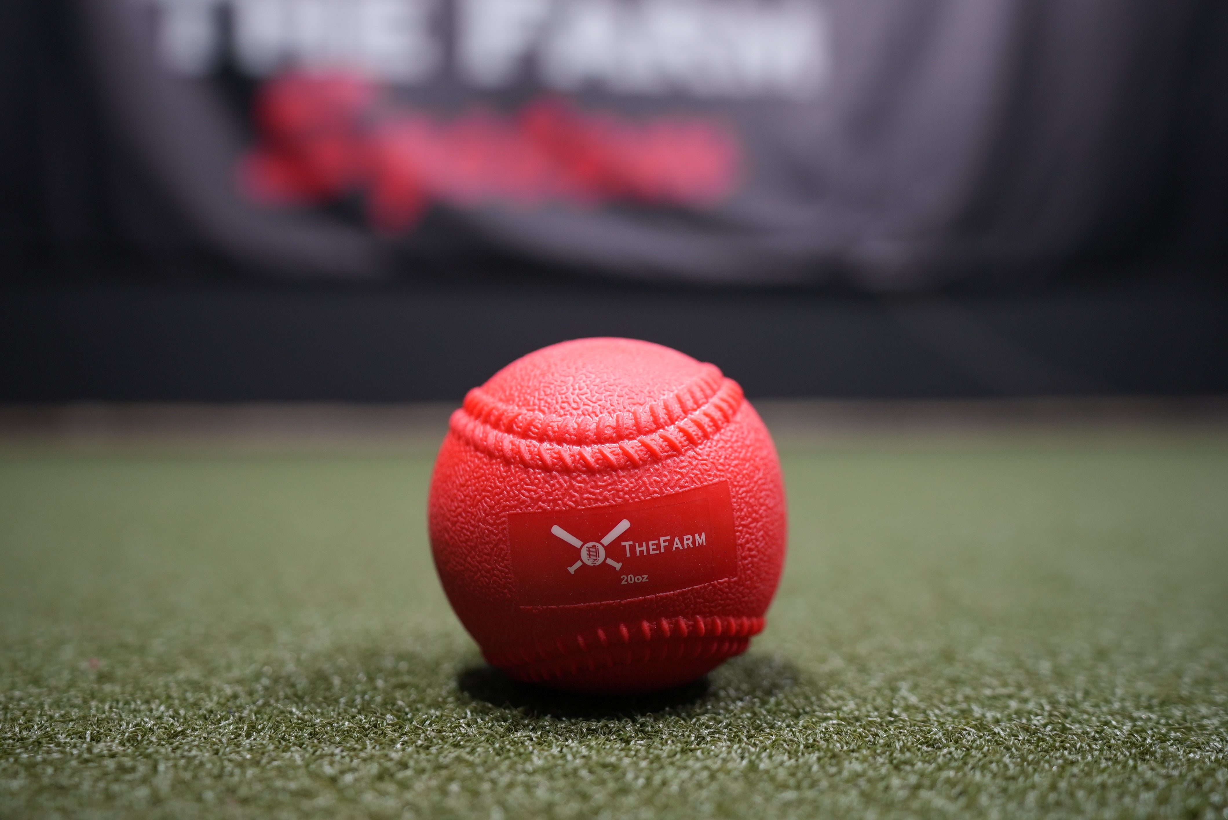 Heavy Plyo Softballs