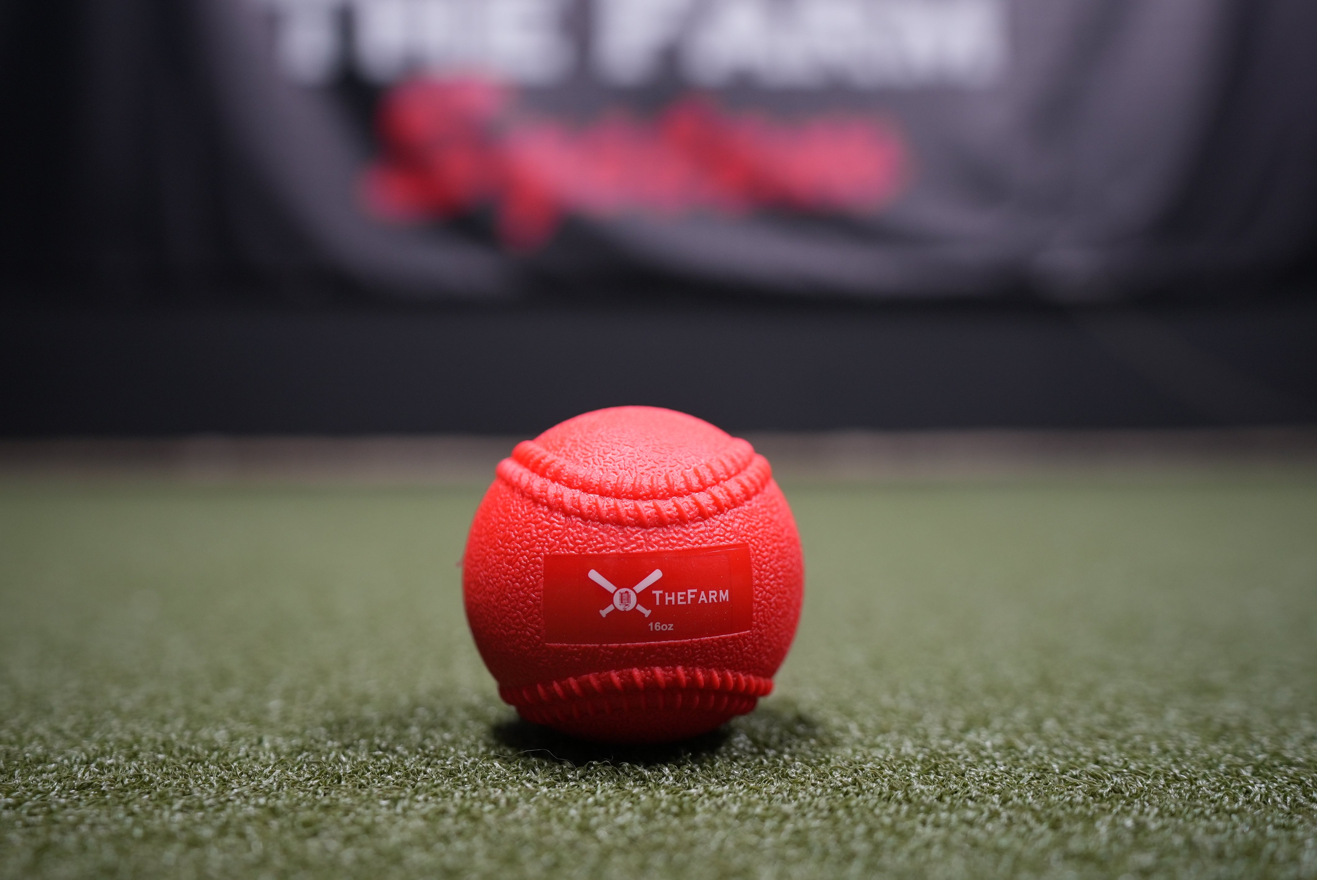 Heavy Plyo Baseballs