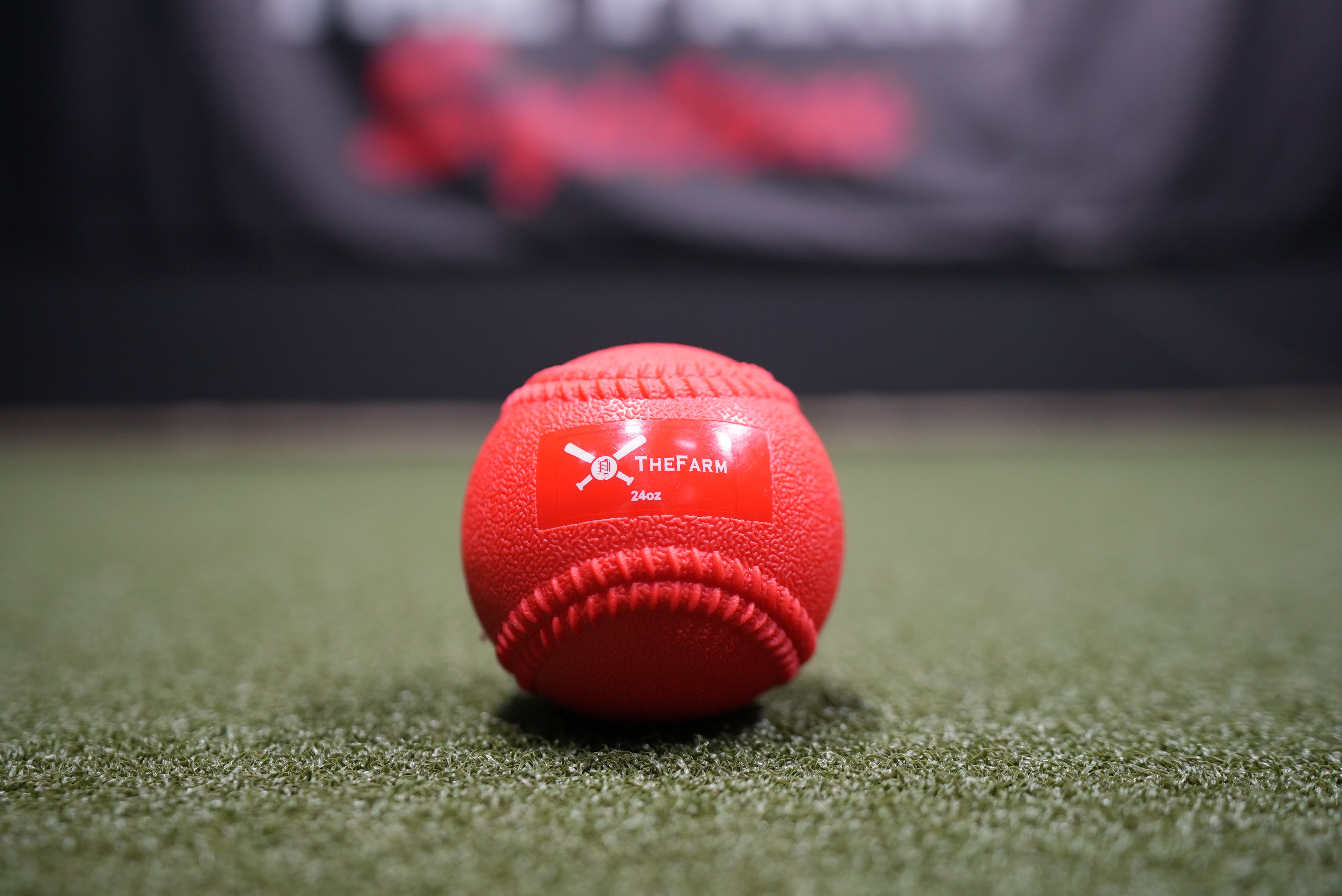 Heavy Plyo Baseballs