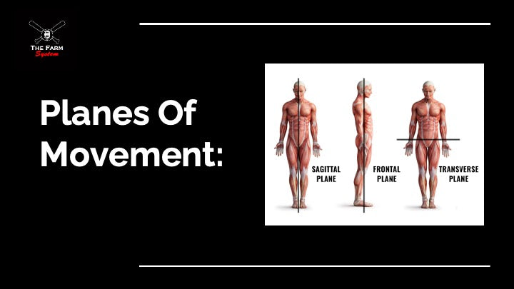 Chapter 1: Planes of Motion