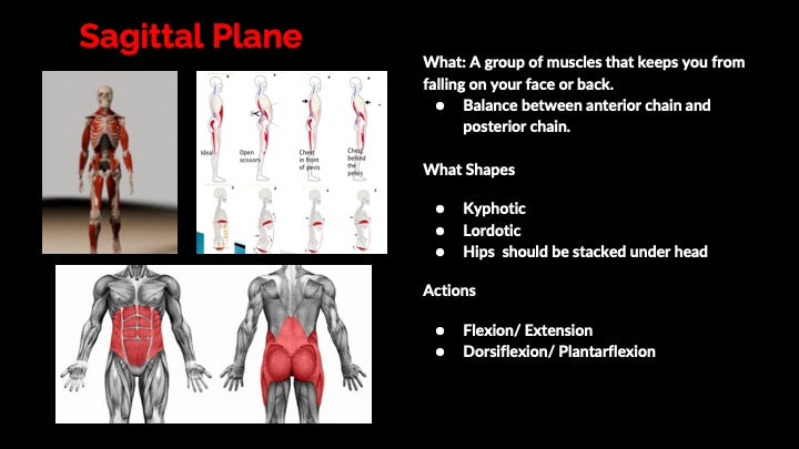 Chapter 1: Planes of Motion