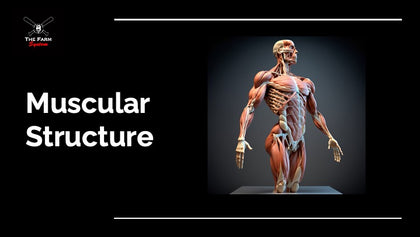 The Farm Summer Retreat (June 6th-9th)