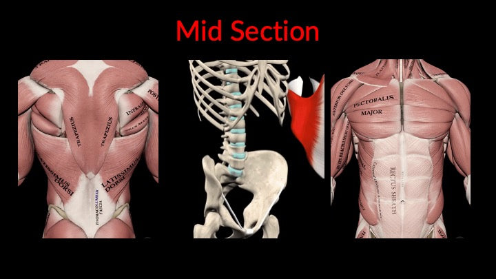 The Farm Summer Retreat (June 6th-9th)