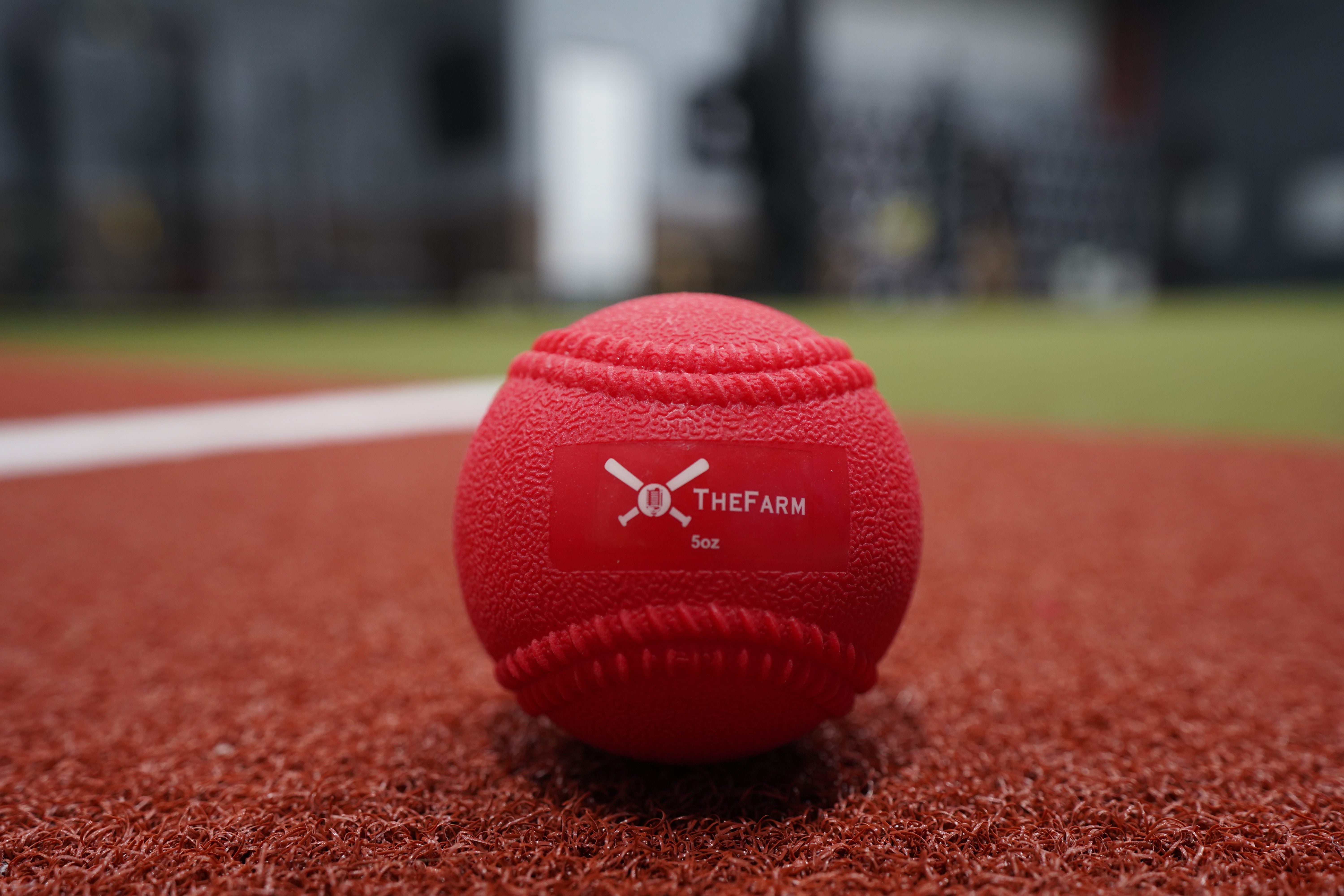 Heavy Plyo Baseballs